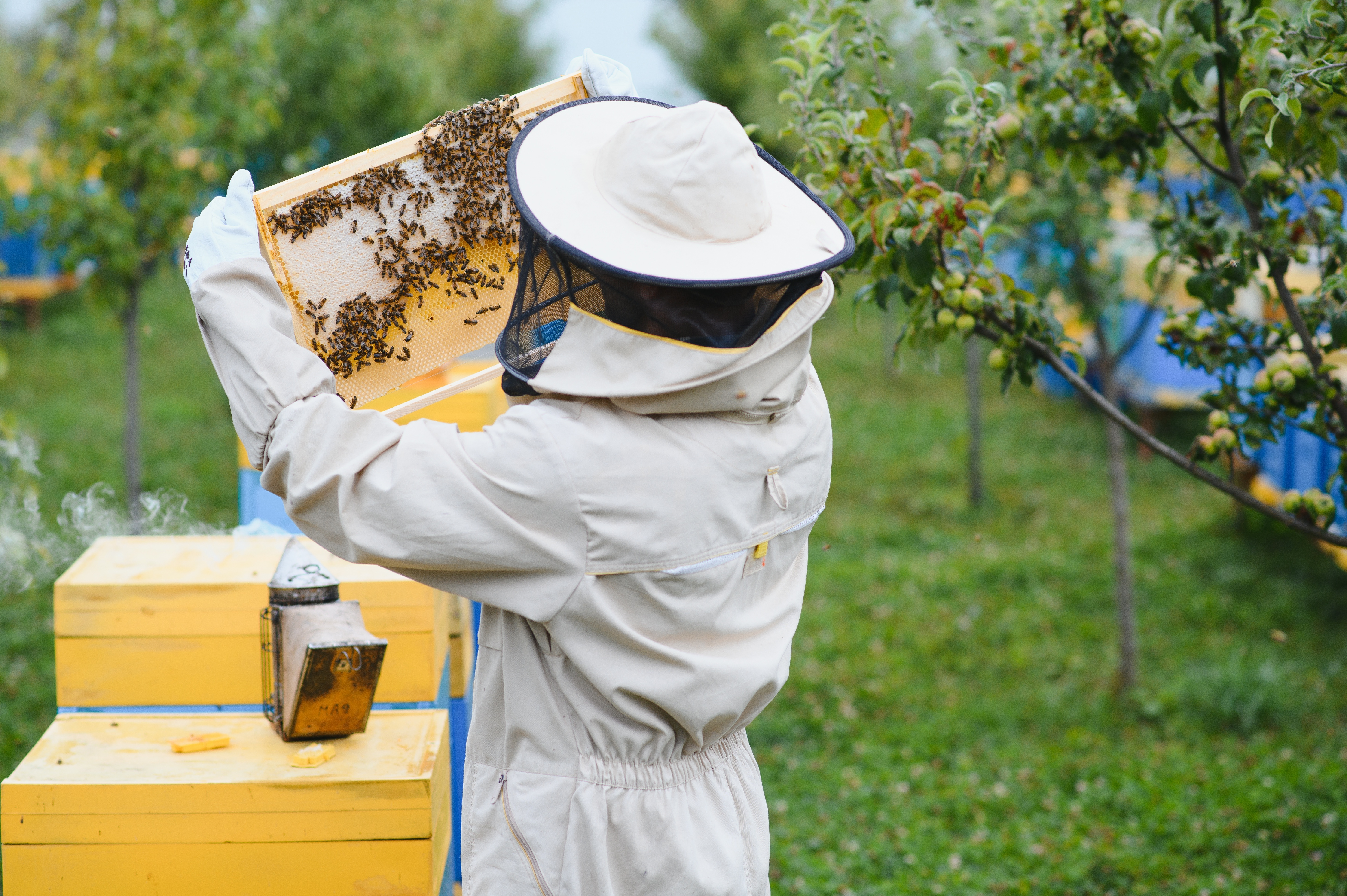 Bee Keeping